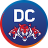 Delhi Capitals
