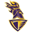 team icon