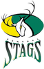team icon