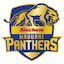 Siechem Madurai Panthers