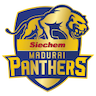 Siechem Madurai Panthers