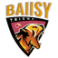 team icon