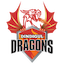 team icon