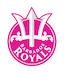 team icon