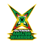 team icon