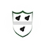 team icon