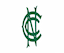 team icon