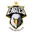 team icon