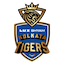 team icon