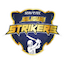team icon