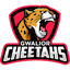 Gwalior Cheetahs