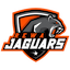 Rewa Jaguars
