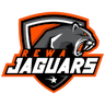 Rewa Jaguars