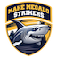 team icon