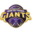 team icon