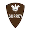 team icon