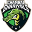 team icon