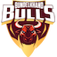 team icon