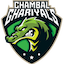 team icon