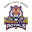 team icon