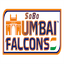 team icon