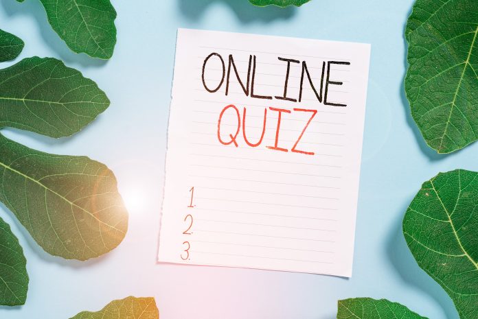 Online Quiz: Top Reasons to Play this Interesting Game!