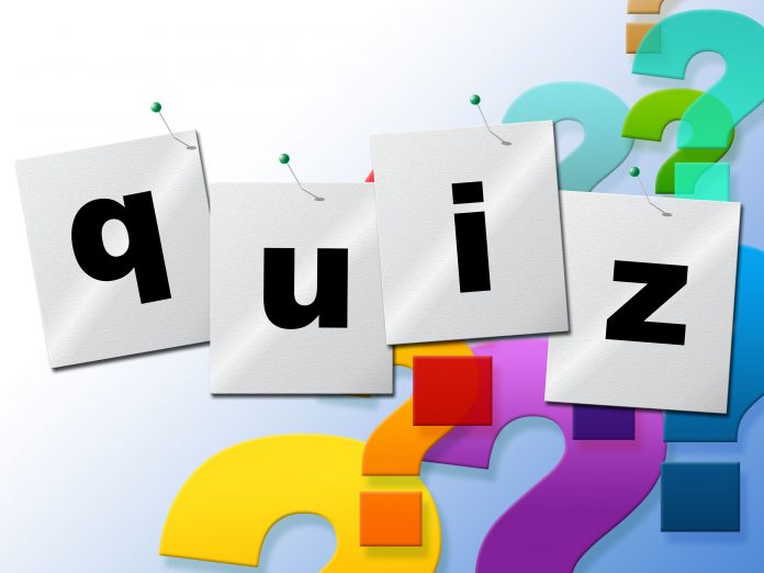 Play Quiz Online: Things to Remember for Novice Players