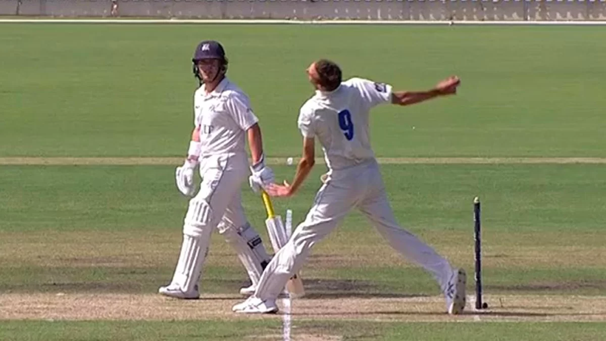 No ball in cricket what are the rules and know their types