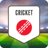 Fantasy cricket